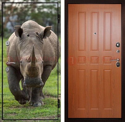 Металлическая дверь с фотопечатью носорога ДФ-31 в Раменском