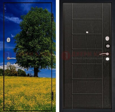 Железная дверь с фотопечатью дерева в поле ДФ-36 в Раменском