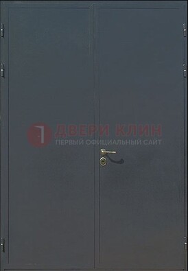 Двухстворчатая техническая дверь ДТ-5 в Раменском