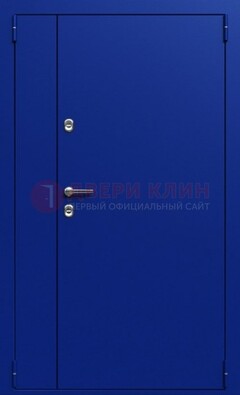 Синяя тамбурная дверь ДТМ-23 в Раменском